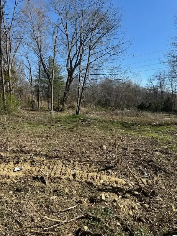 TBD Crimora Mine Rd, Crimora, VA 24431