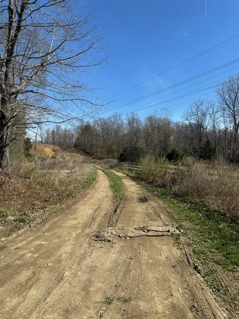 TBD Crimora Mine Rd, Crimora, VA 24431 - #2