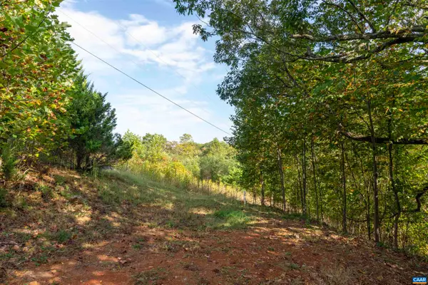 TBD Cherry Grove Ln, Afton, VA 22920