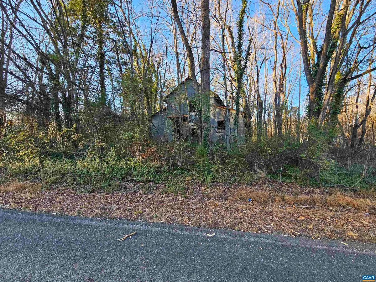 1 Ac Physic Spring Rd, Dillwyn, VA 23936 - #1