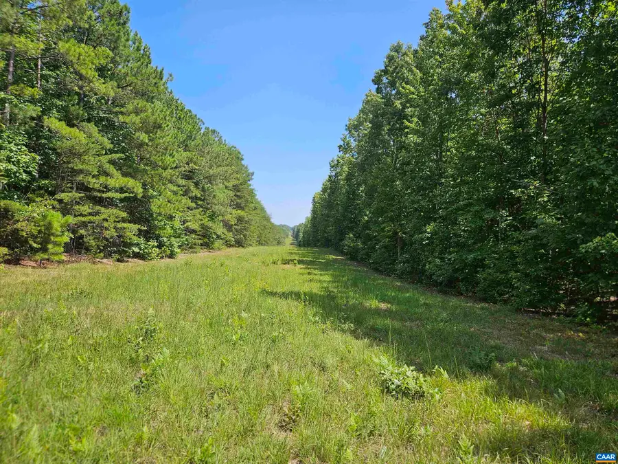 100 Ac James Anderson Hwy W, Gladstone, VA 24553 - #2