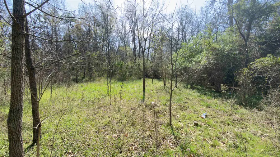 TBD Odell Dr, Crimora, VA 24431 - #3