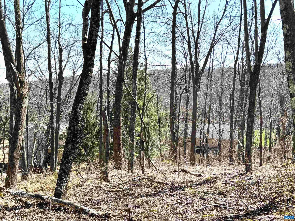 433 Laurel Springs Dr, Wintergreen Resort, VA 22967 - #1
