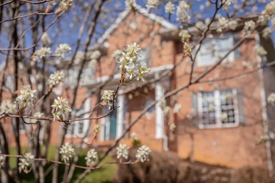 1281 Kentshire Dr, Massanetta Springs, VA 22801 - #2