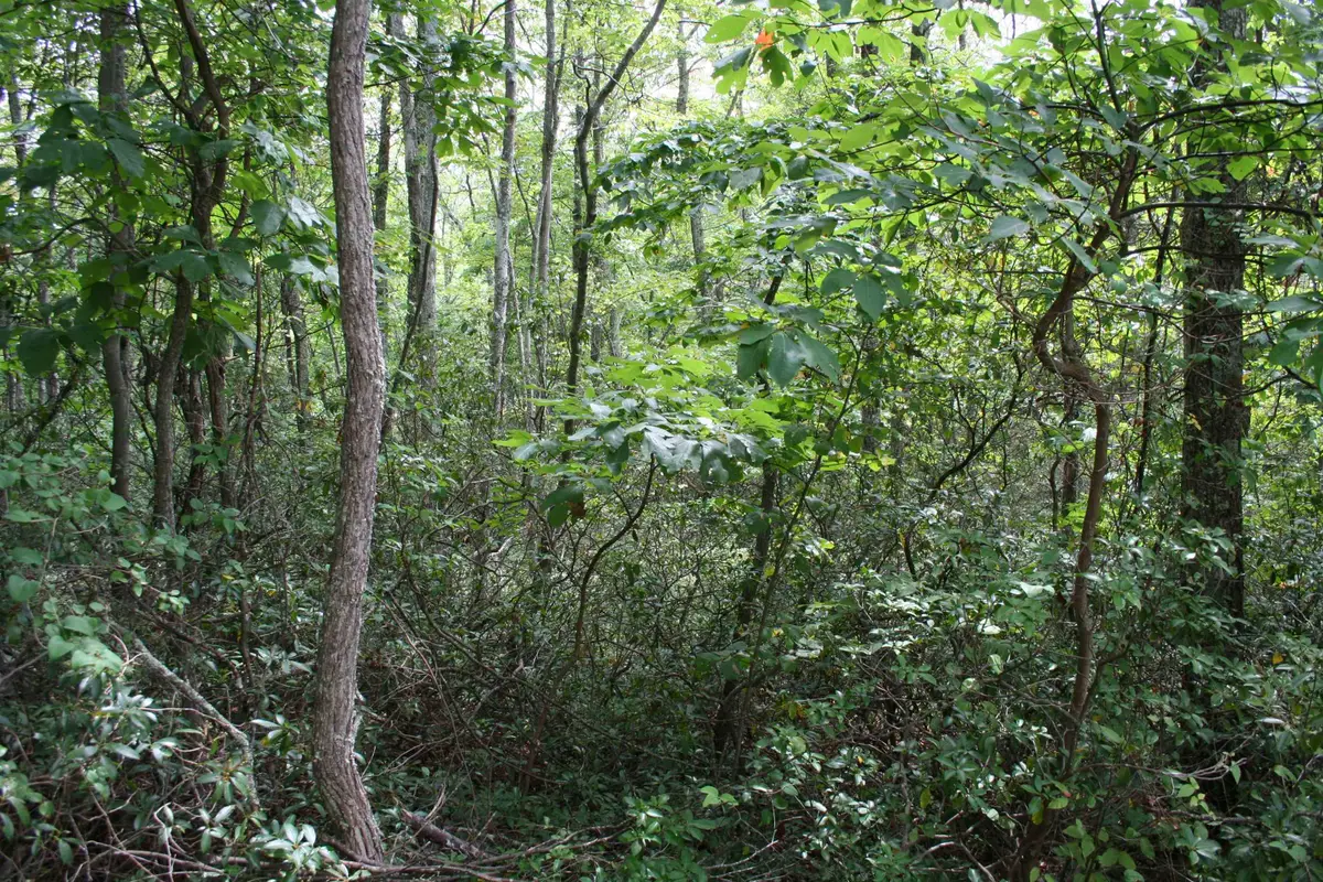 High Valley South, Monterey, VA 24465 - #1