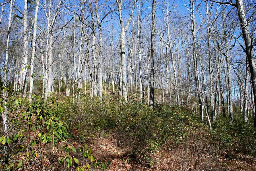 High Valley South, Monterey, VA 24465 - #2