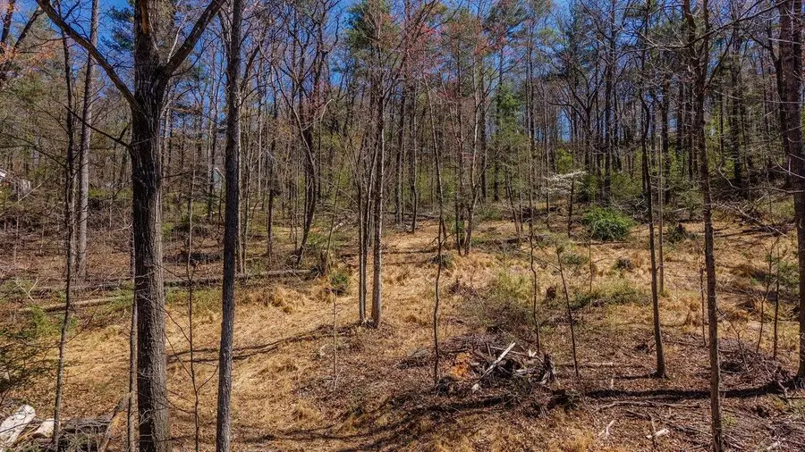 TBD Shell Hollow Ln, Dayton, VA 22821 - #3