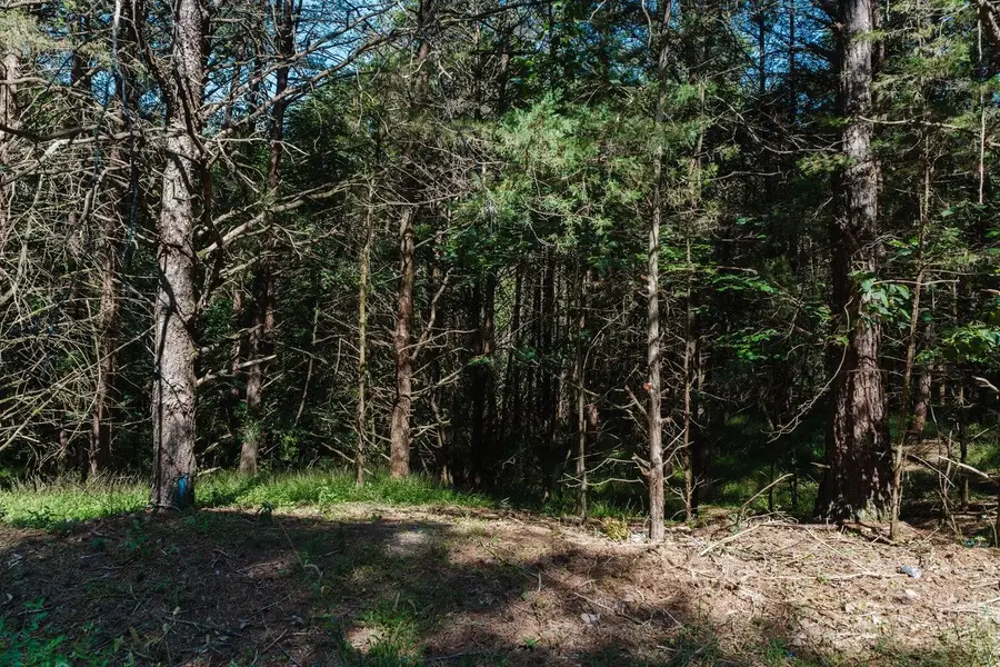 TBD River View Rd, Luray, VA 22835 - #3