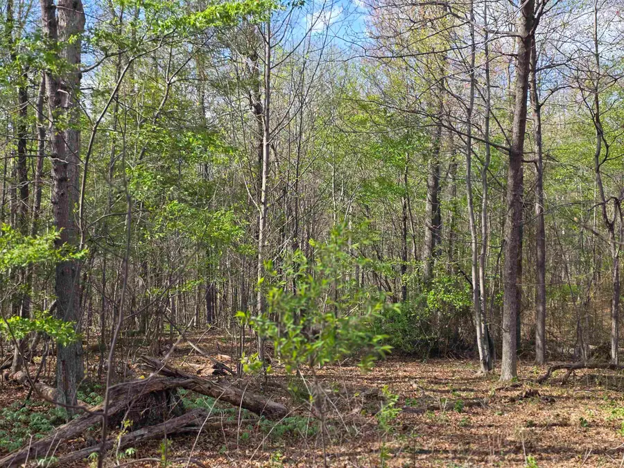 TBD Scenic Hwy N, Mount Solon, VA 22843 - #2