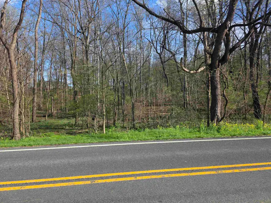 TBD Scenic Hwy N, Mount Solon, VA 22843 - #3