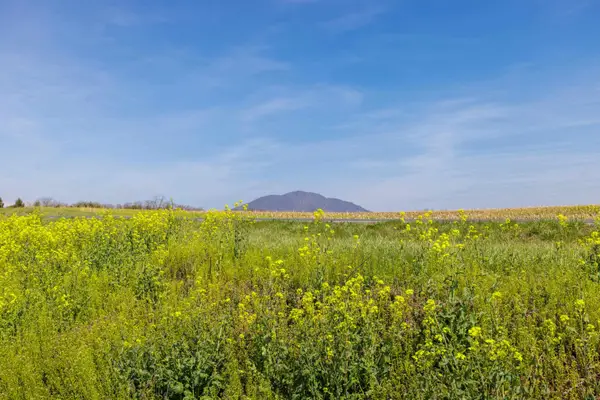 0 Mill Creek Church Rd, Port Republic, VA 24471