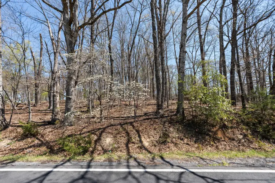 0.67 Acres Shutterlee Mill Rd, Staunton, VA 24401 - #3