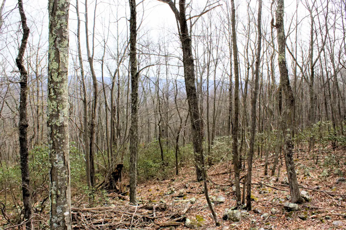 High Valley Dr S, Monterey, VA 24465 - #1