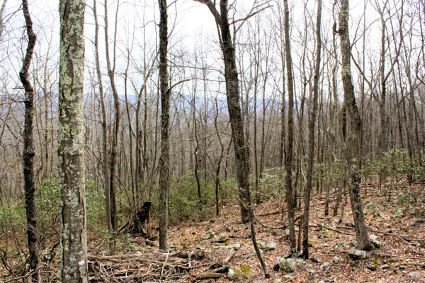 High Valley Dr S, Monterey, VA 24465