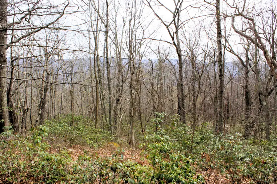 High Valley Dr S, Monterey, VA 24465 - #3