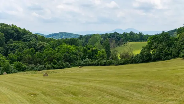 25 Koogler Trl, Raphine, VA 24472