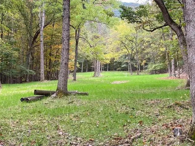 81.5 Acres Hopkins Gap Rd, Fulks Run, VA 22830 - #1