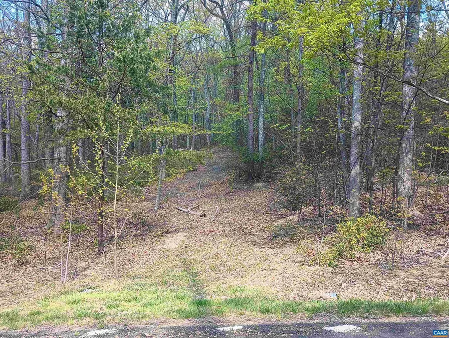 0 Rockfish Heights Ln, Nellysford, VA 22958 - #2