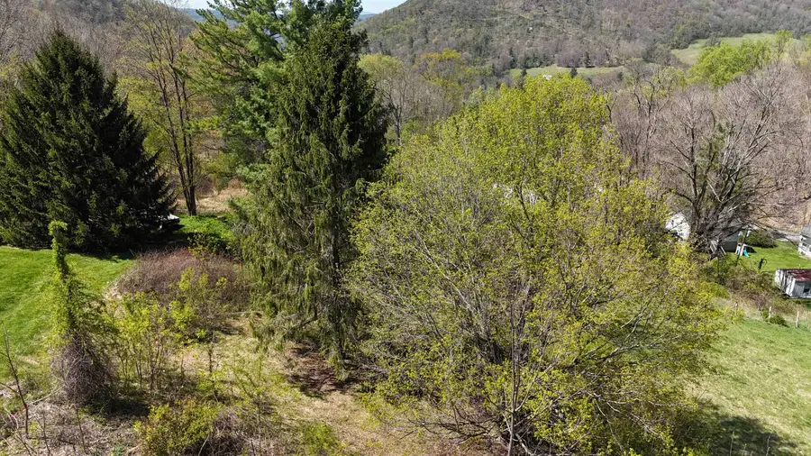 tbd Klondike Rd, Warm Springs, VA 24484 - #2
