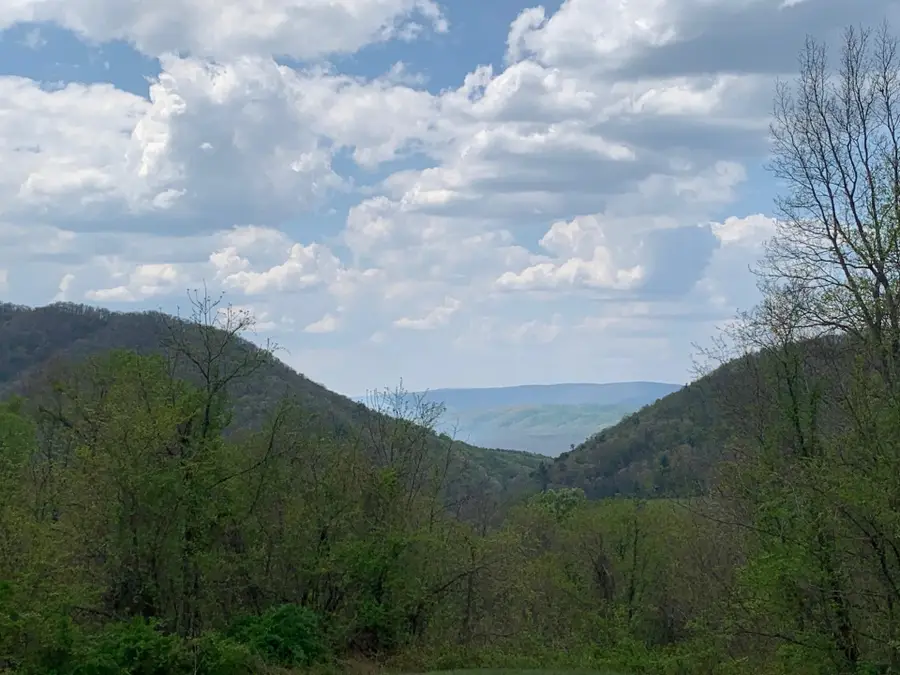 tbd Flag Rock Trl, Hot Springs, VA 24445 - #2