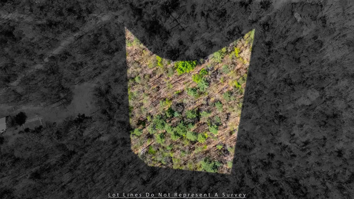 TBD Camp Hollow Ln, Fulks Run, VA 22830 - #1