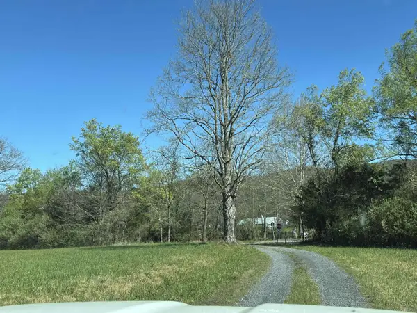 TBD Campbell Hollow Rd, Millboro, VA 24460
