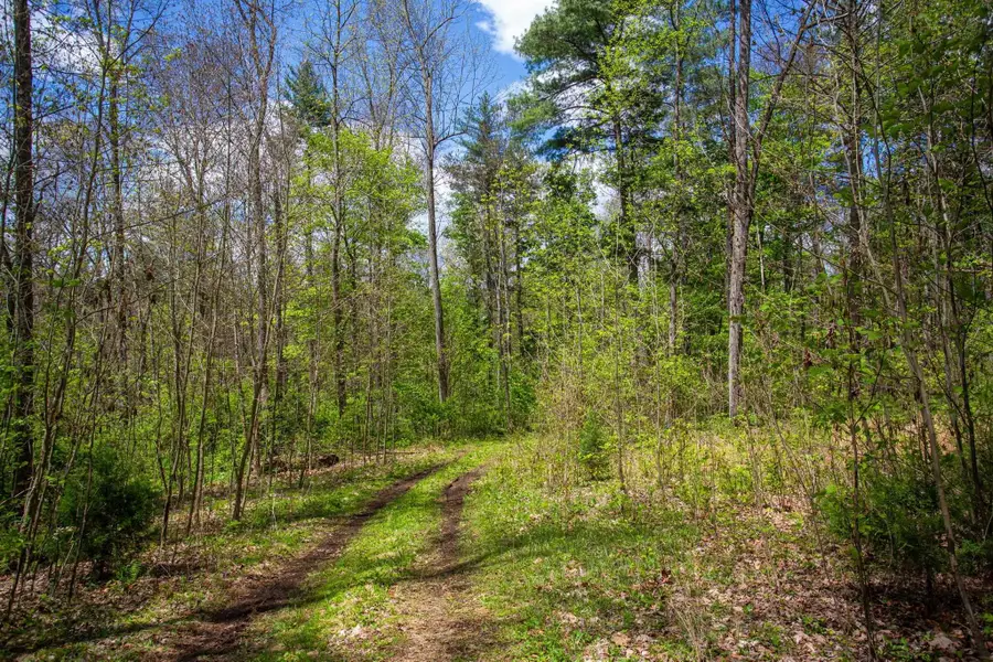 0 Church Mountain Ln, Fulks Run, VA 22830 - #2