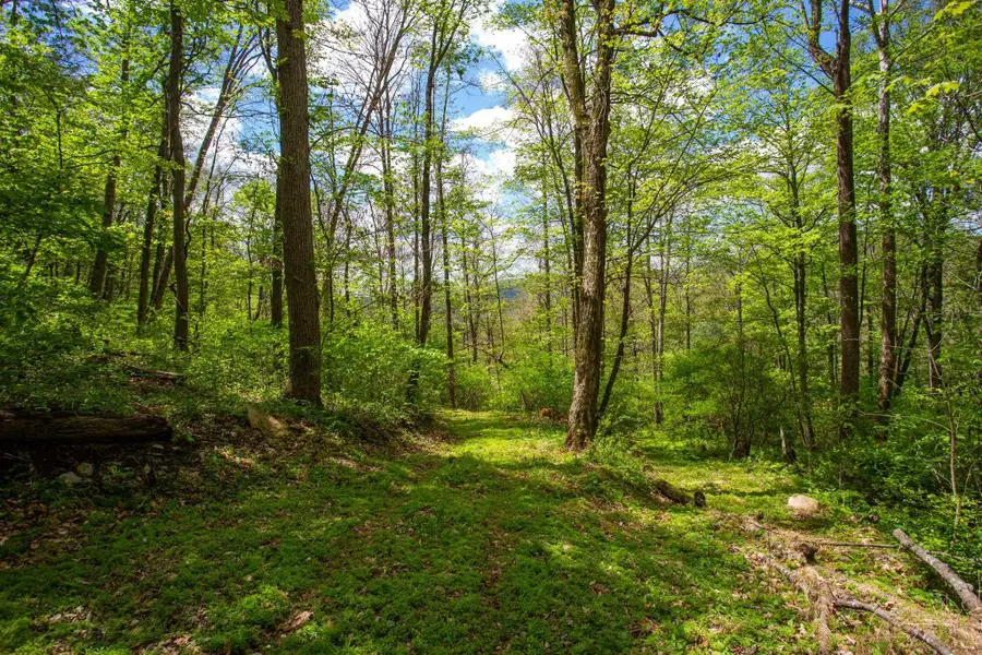 0 Church Mountain Ln, Fulks Run, VA 22830 - #3