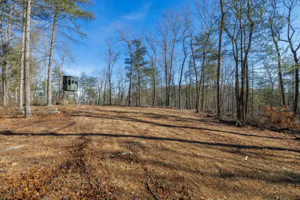 24.97 ac Stribling Springs Rd, Mount Solon, VA 22843
