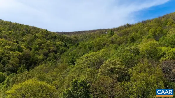 2242 Laurel Springs Dr, Wintergreen Resort, VA 22967