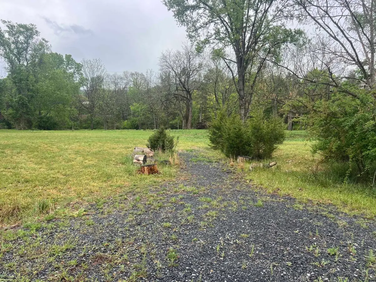 TBD Cold Springs Rd, Raphine, VA 24472 - #1