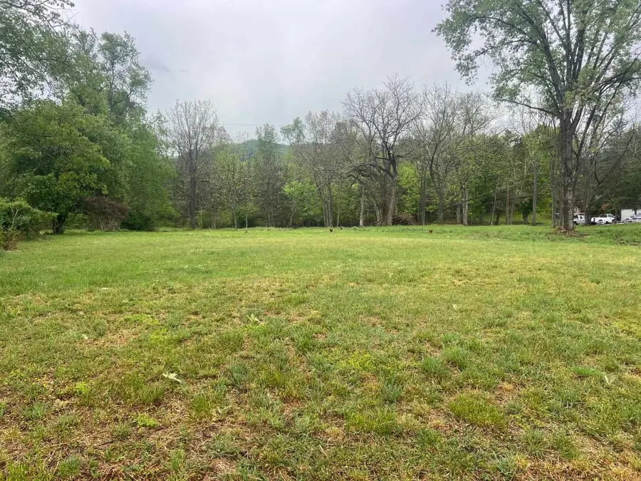 TBD Cold Springs Rd, Raphine, VA 24472 - #2