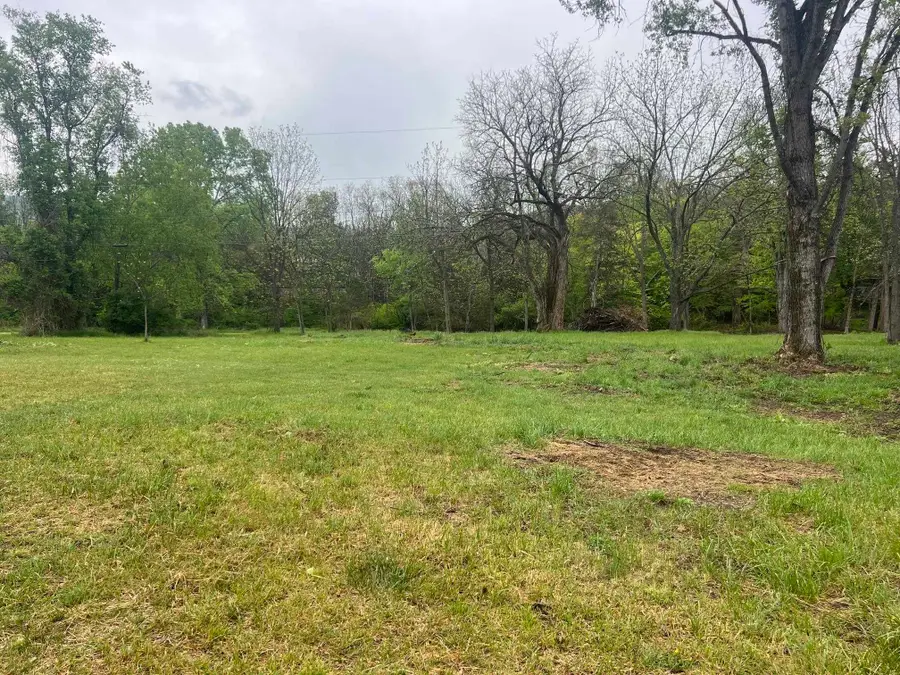 TBD Cold Springs Rd, Raphine, VA 24472 - #3