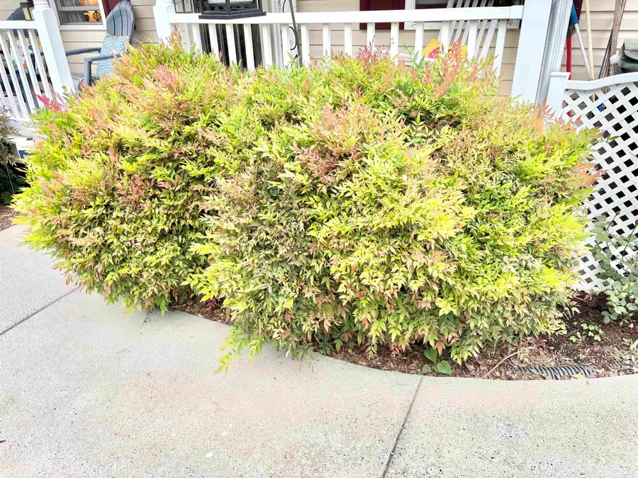 341A Campbell St, Staunton, VA 24401 - #3