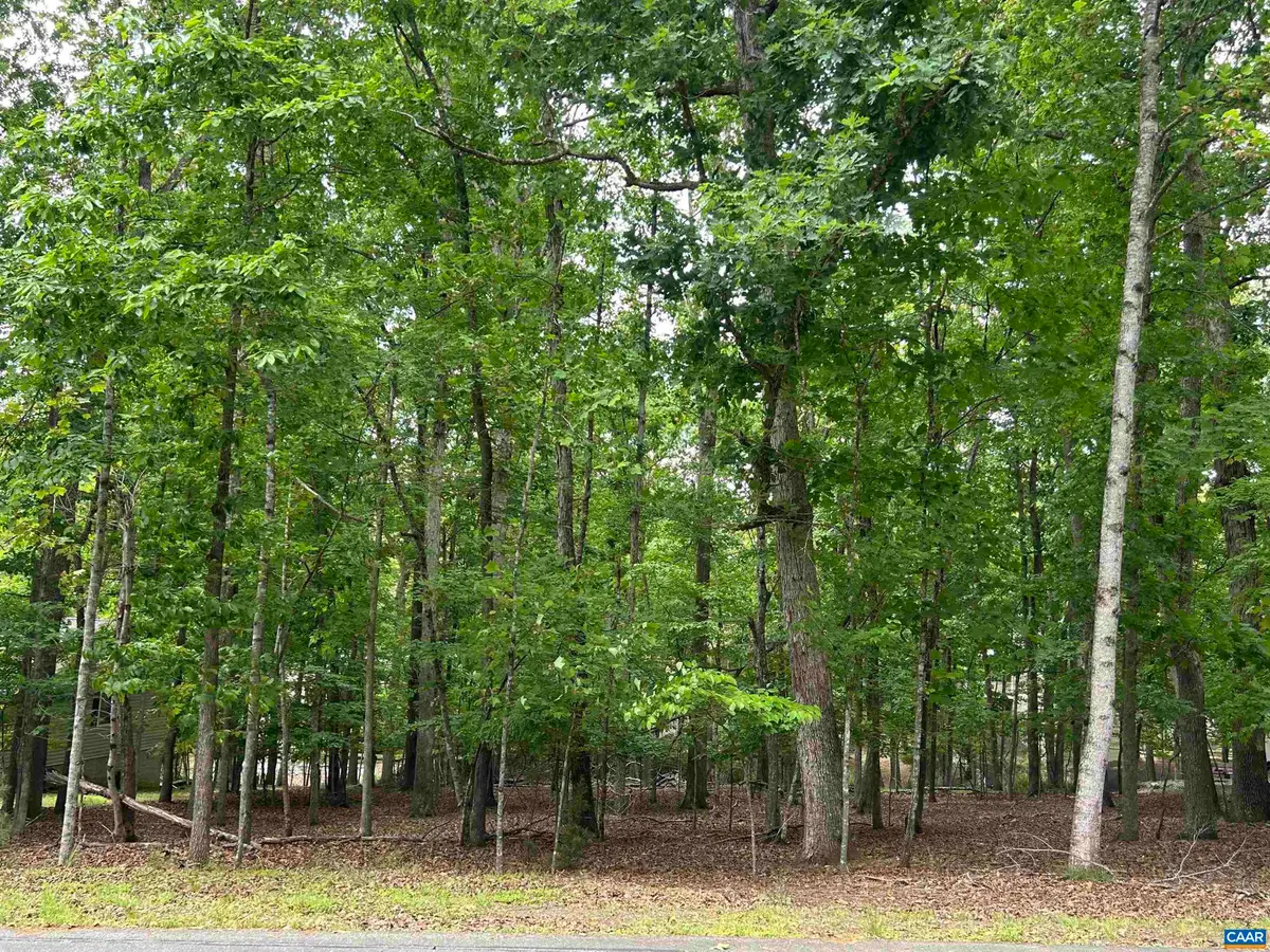 25 Laguna Rd, Palmyra, VA 22963 - #1