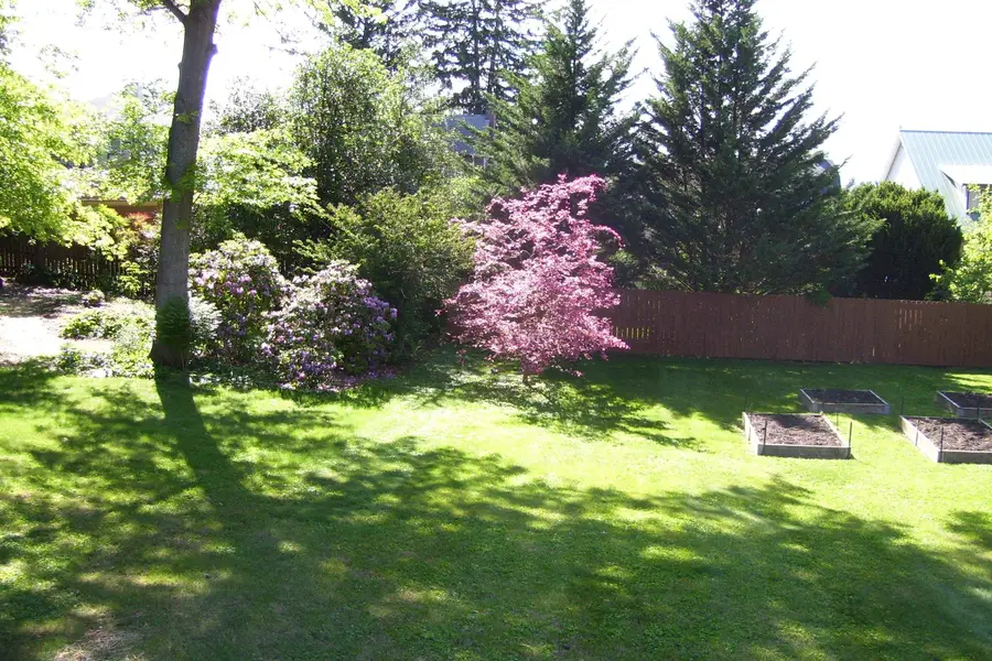 347 Monticello Ave, Harrisonburg, VA 22801 - #3