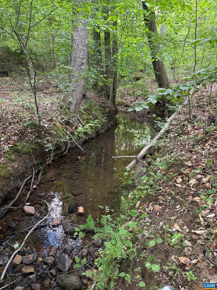 000 Keys Church Rd, Shipman, VA 22971 - #3
