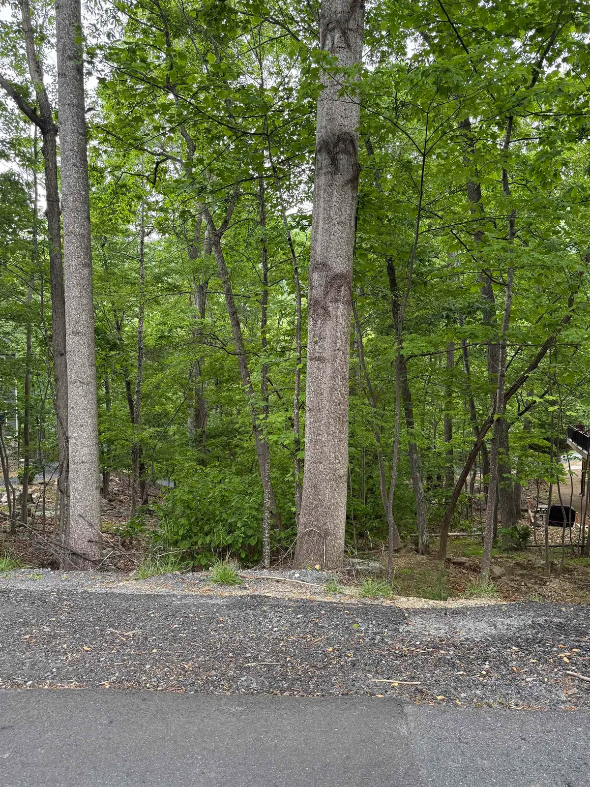 TBD Palmer Rd, McGaheysville, VA 22840 - #1