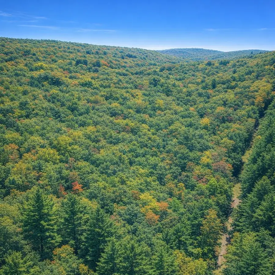 LOT 168 Forest Ridge Trl, Fort Valley, VA 22652 - #2