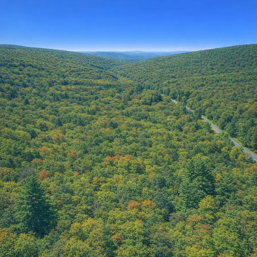 LOT 168 Forest Ridge Trl, Fort Valley, VA 22652 - #3