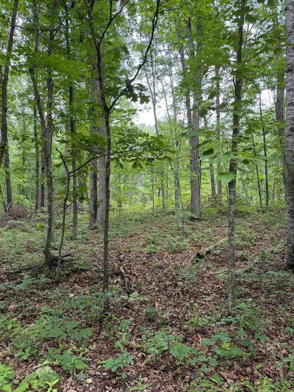 Lot 50 Lake Dr, Crimora, VA 24431