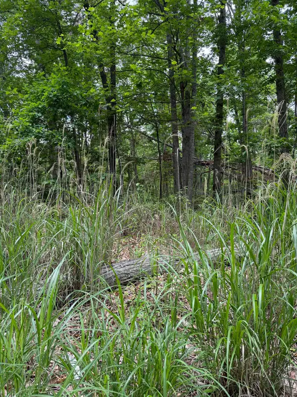 Lot 52 Lake Dr, Crimora, VA 24431