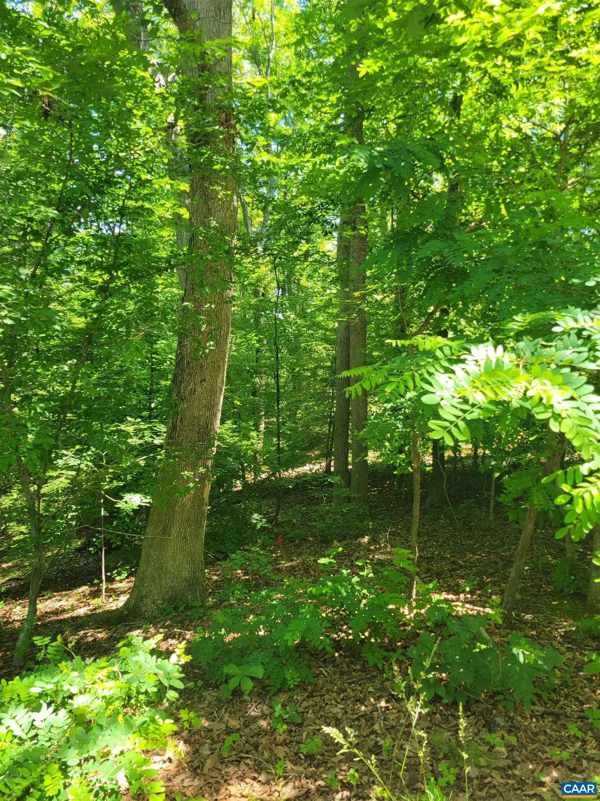 8 Mechunk Ter, Palmyra, VA 22963 - #1