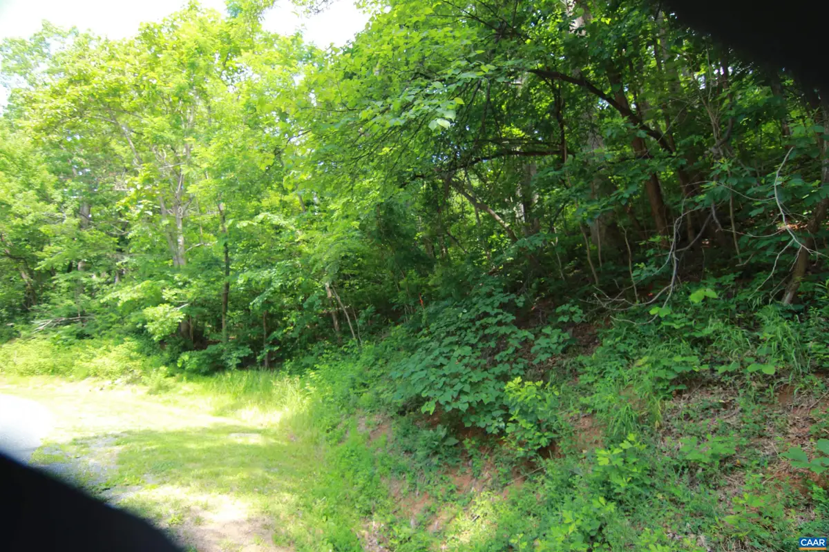 1757 Black Walnut Dr, Nellysford, VA 22958 - #1
