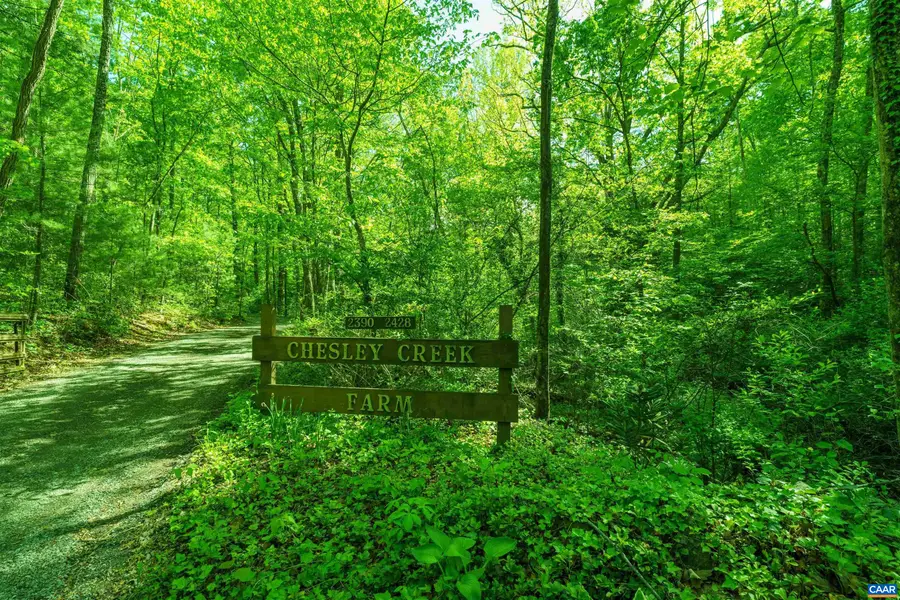 Lot C Brokenback Mountain Rd, Dyke, VA 22935 - #3