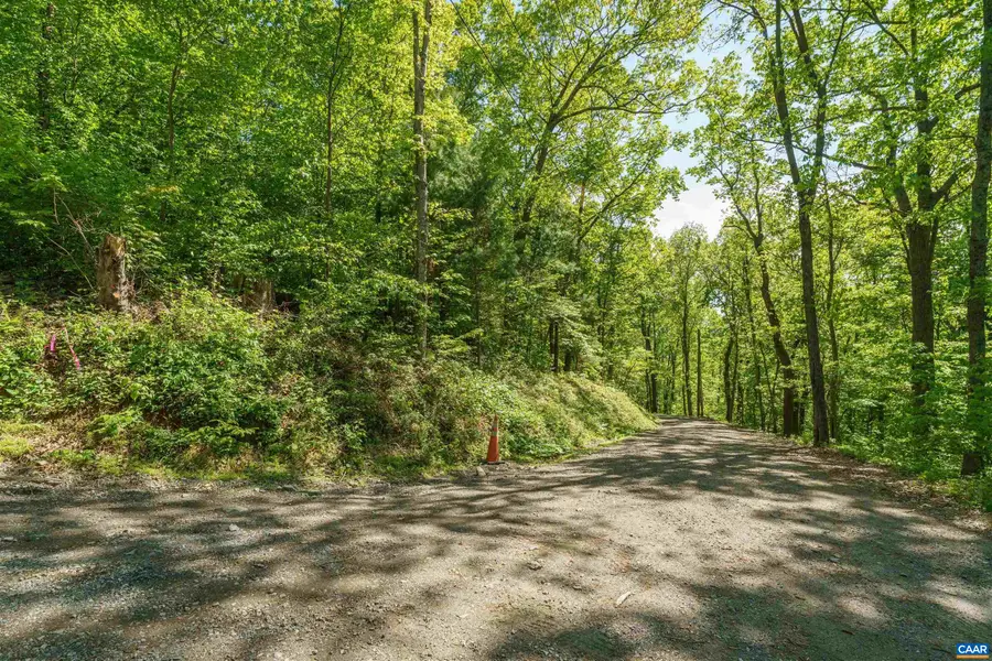 Lot A Brokenback Mountain Rd, Dyke, VA 22935 - #3