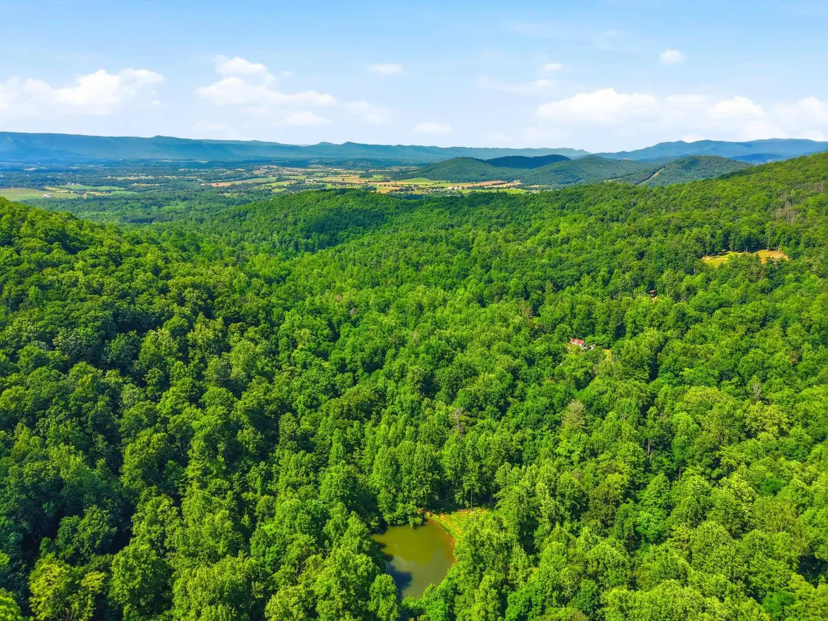 Jordan Hollow Rd, Stanley, VA 22851 - #1
