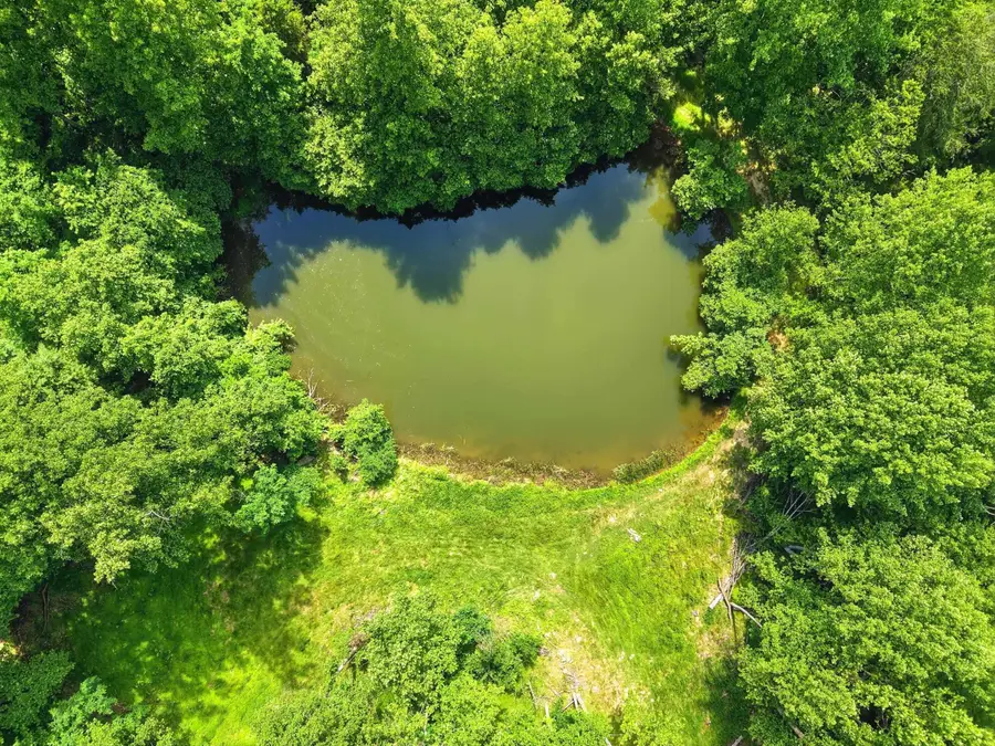 Jordan Hollow Rd, Stanley, VA 22851 - #2
