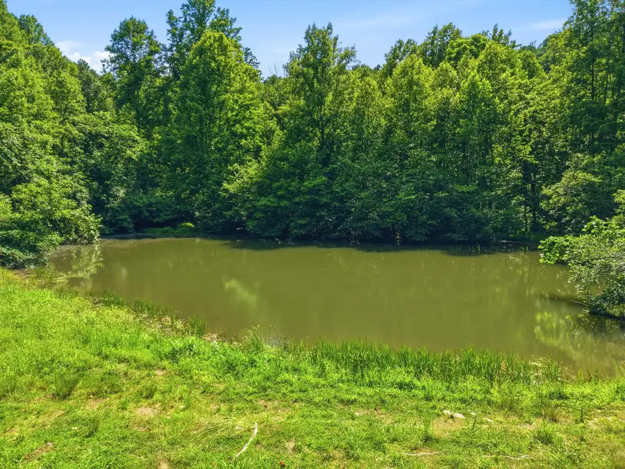 Jordan Hollow Rd, Stanley, VA 22851 - #3