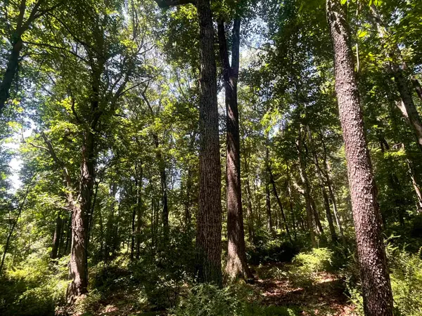 TBD Spottswood Rd, Spotswood, VA 24476